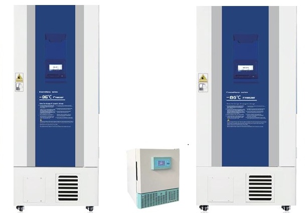 WhatsApp Image 2025-07-25 at 4.04.41 PM